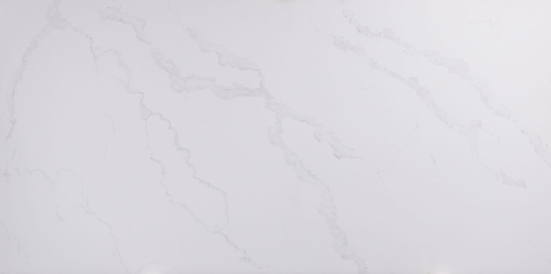 Prima Vera - Primus Surfaces